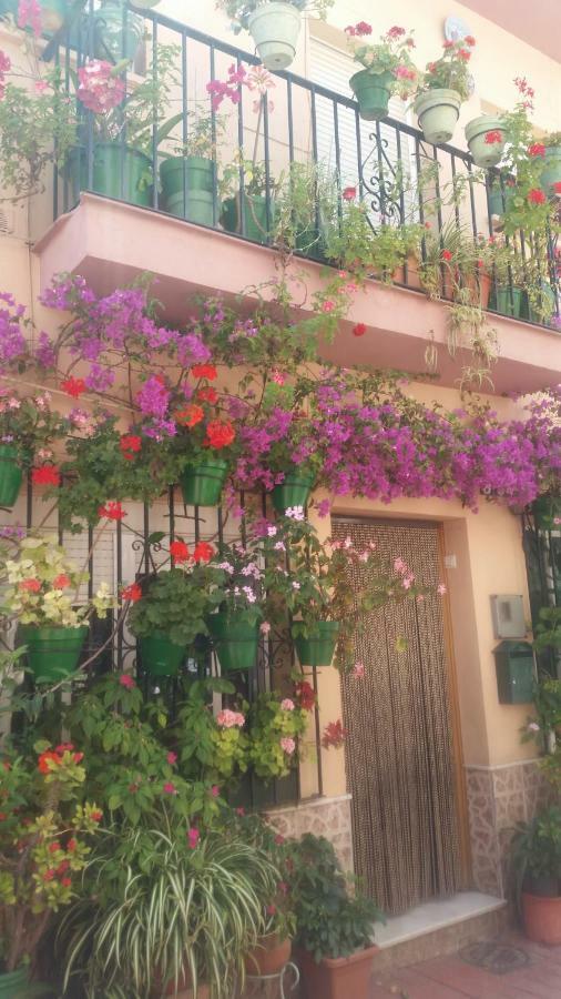 Puerto Deportivo Estepona Dış mekan fotoğraf